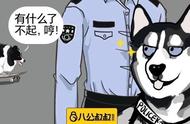 探秘边牧：从家宠到警犬的华丽转身