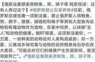 熊之困境：俄罗斯养熊禁令背后的真相