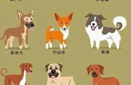 可爱狗狗探秘：世界上最知名的萌犬图鉴！