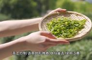 品味中国：黄山毛峰名茶的魅力