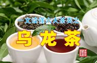 乌龙茶：一篇让你全面了解六大茶类的指南