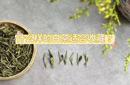 存白茶前，掌握5个基础问题，其他都是花招