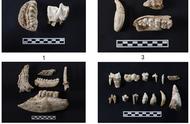 从9000年前开始的玉文化探索：解读十大考古新发现