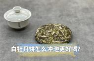 如何正确泡制白茶白牡丹饼？这里有10个步骤