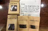 《老徐鉴茶》639期：2023年班盆古树头春茶品鉴报告，由汕尾茶友提供