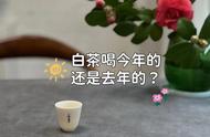 白茶应该选择今年的还是去年的？白毫银针的味道是否必须在当年喝完？