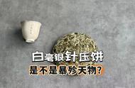 好茶真的不需要压饼吗？