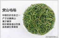 黄山毛峰茶多少钱？教你轻松辨别真伪！