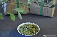 明日西湖龙井新茶正式开采，购买时有哪些要点？