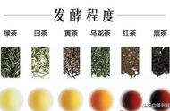 探索茶叶的世界：你家乡的茶在列表中吗？