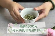 1000元预算下，白茶选择：白毫银针还是白牡丹？