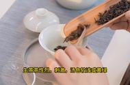 品味千年的香醇——中国十大名茶之普洱茶