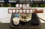 煮老白茶，一壶茶该加多少水？300ml、500ml、700ml的解答