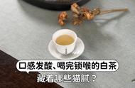 白茶味道发酸，喝完后感觉锁喉，村姑陈告诉你，有这些症状的白茶不要再喝了