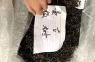 买普洱茶，散茶还是饼茶？哪个更适合存储？