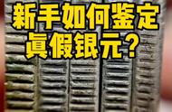 银元鉴定入门指南：从新手到专家只需一步