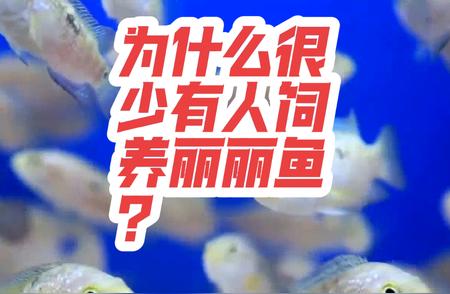 丽丽鱼为何难成养鱼人首选？解析饲养难点！