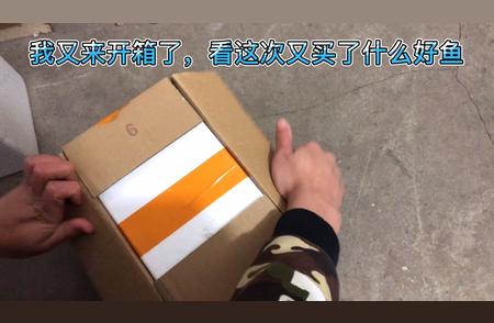 热带鱼生存奇迹：在极端低温下的生命力展现