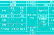 达人教你：如何在反季节养出增重0.25斤的黄金鲫