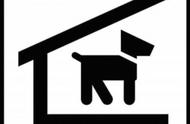 河南公布禁养犬只名录，犬只身高超55厘米不得饲养！