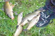 春季钓鱼指南：3种简单可靠的调漂技巧，适应各种鱼情