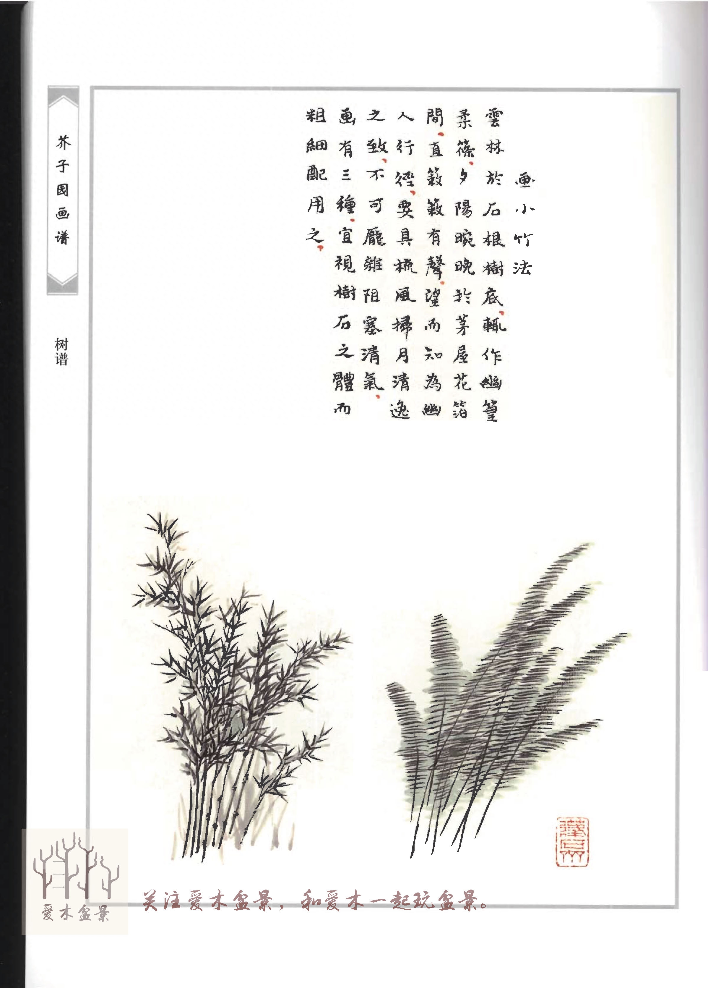 爱木盆景I《芥子园画谱-树谱》分享结文，盆景造型值得参考的范例