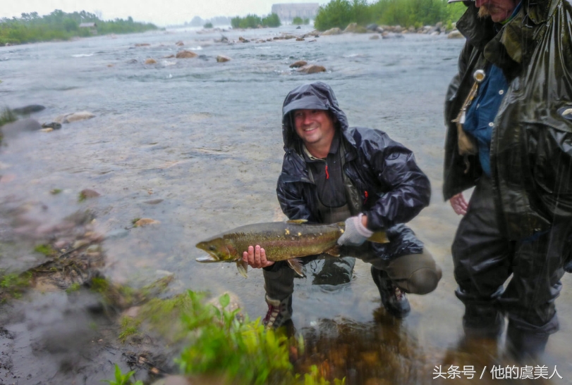 你体验过流行于欧美的“飞蝇钓”吗？职业旅行家为您演示有趣过程